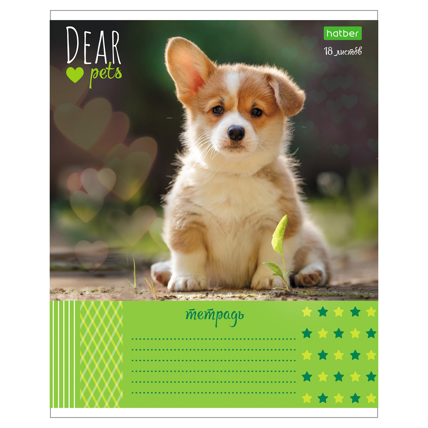 Тетрадь Hatber линейка 12 лист. в ассортименте - фото 2
