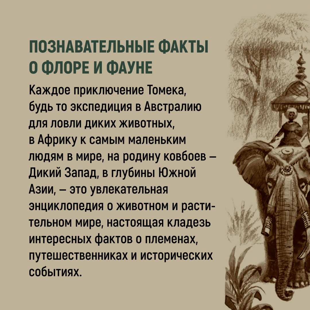 Книга АЗБУКА Томек в стране кенгуру - фото 7