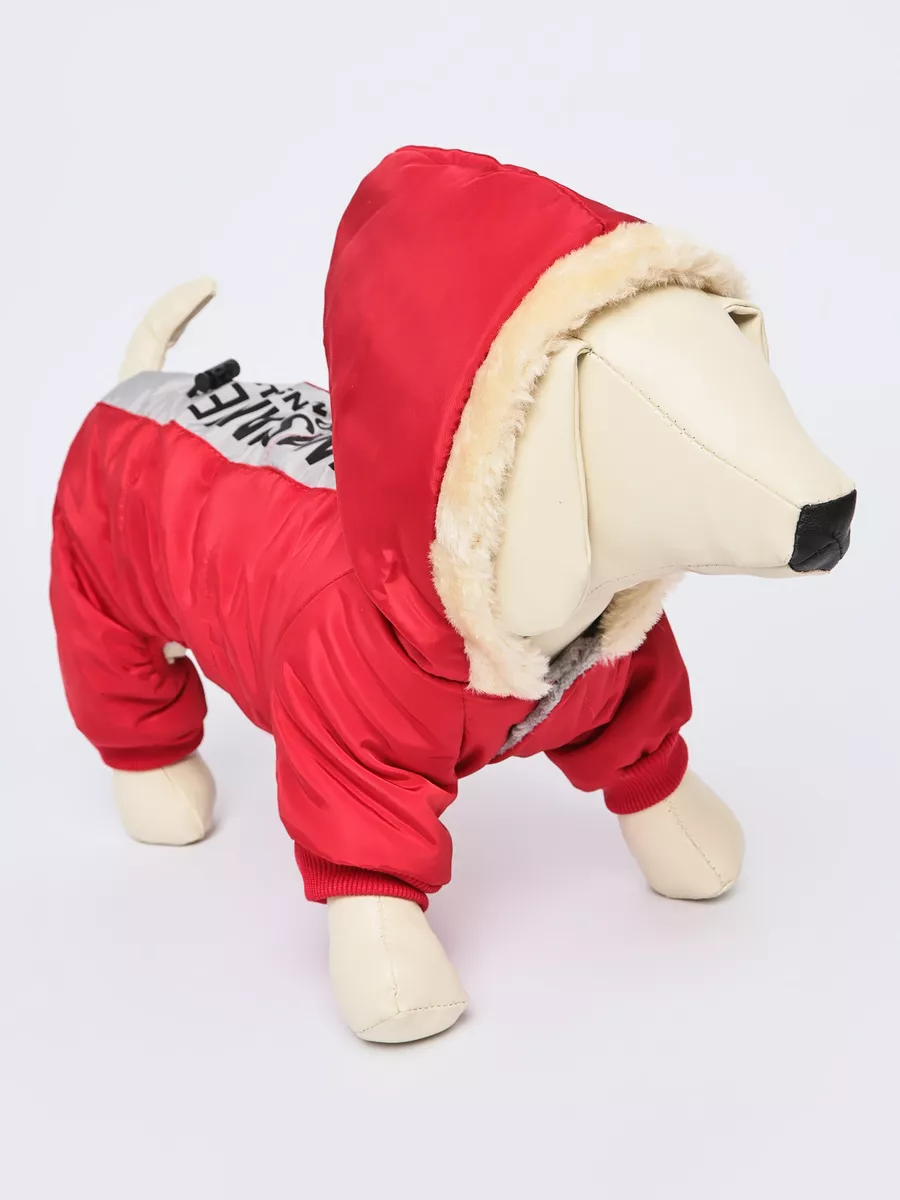 Комбинезон PIFPAF DOG 937-84 - фото 4
