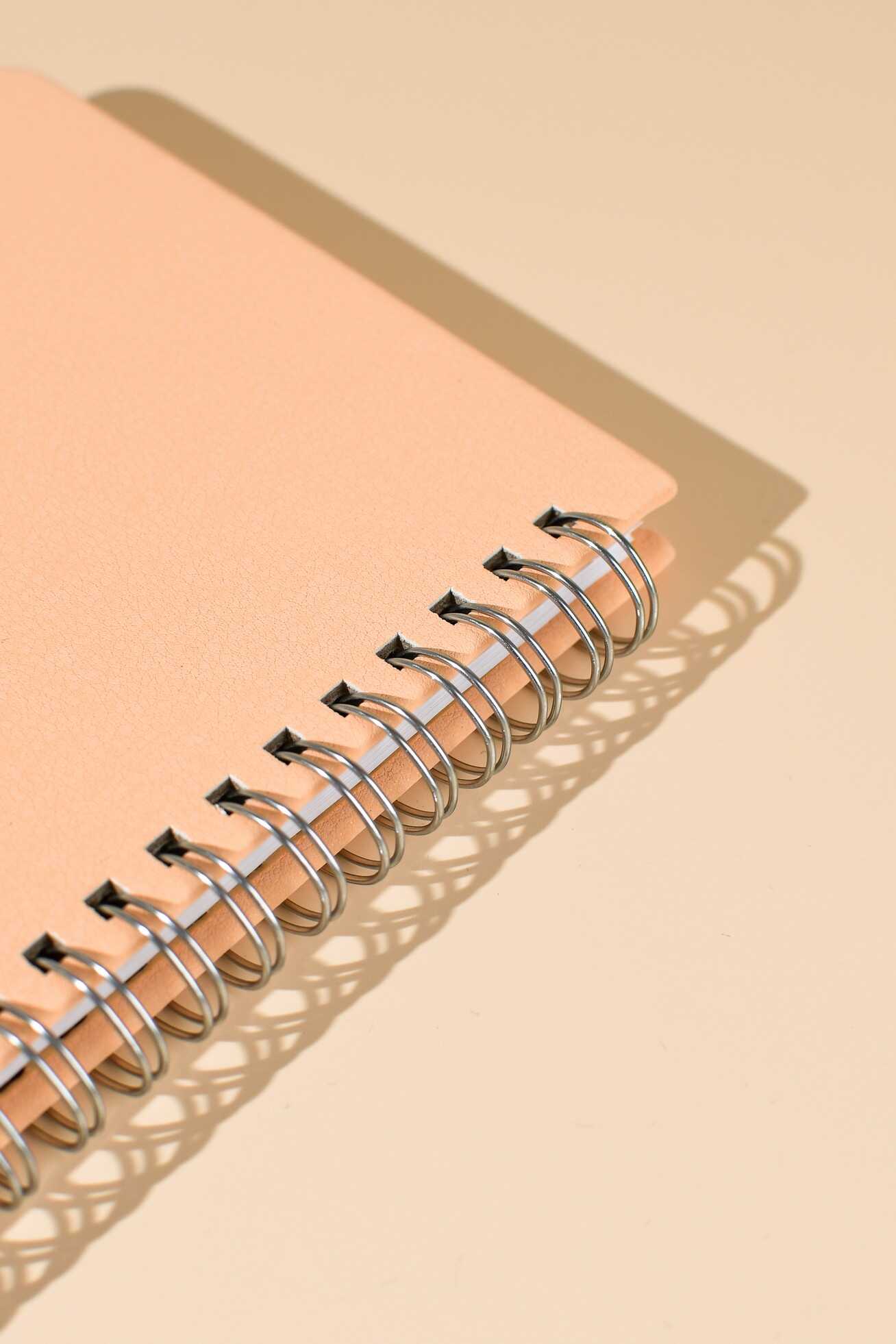 Ежедневник Феникс + ESCALADA 68 лист. - фото 11