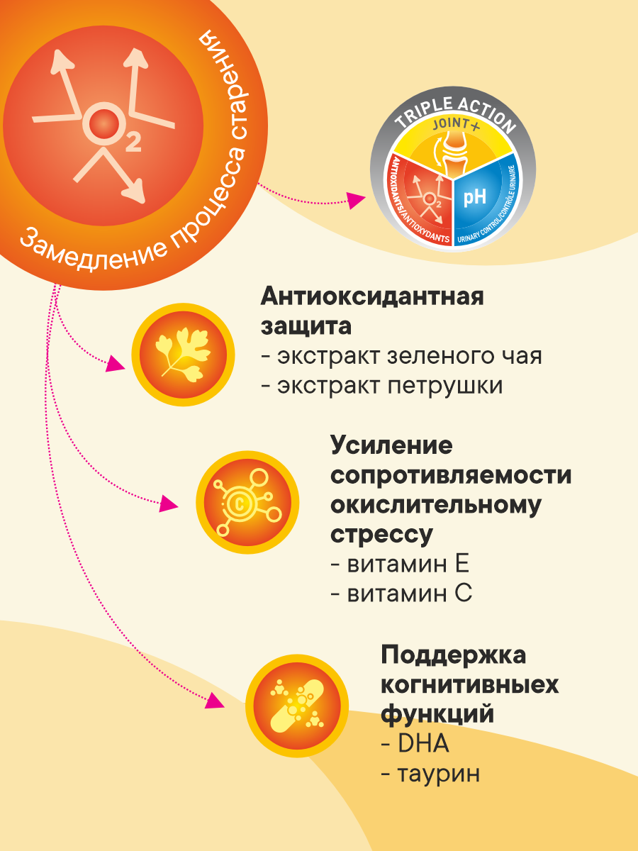 Корм сухой 1st Choice для пожилых и малоактивных кошек на курице 5.44кг - фото 2