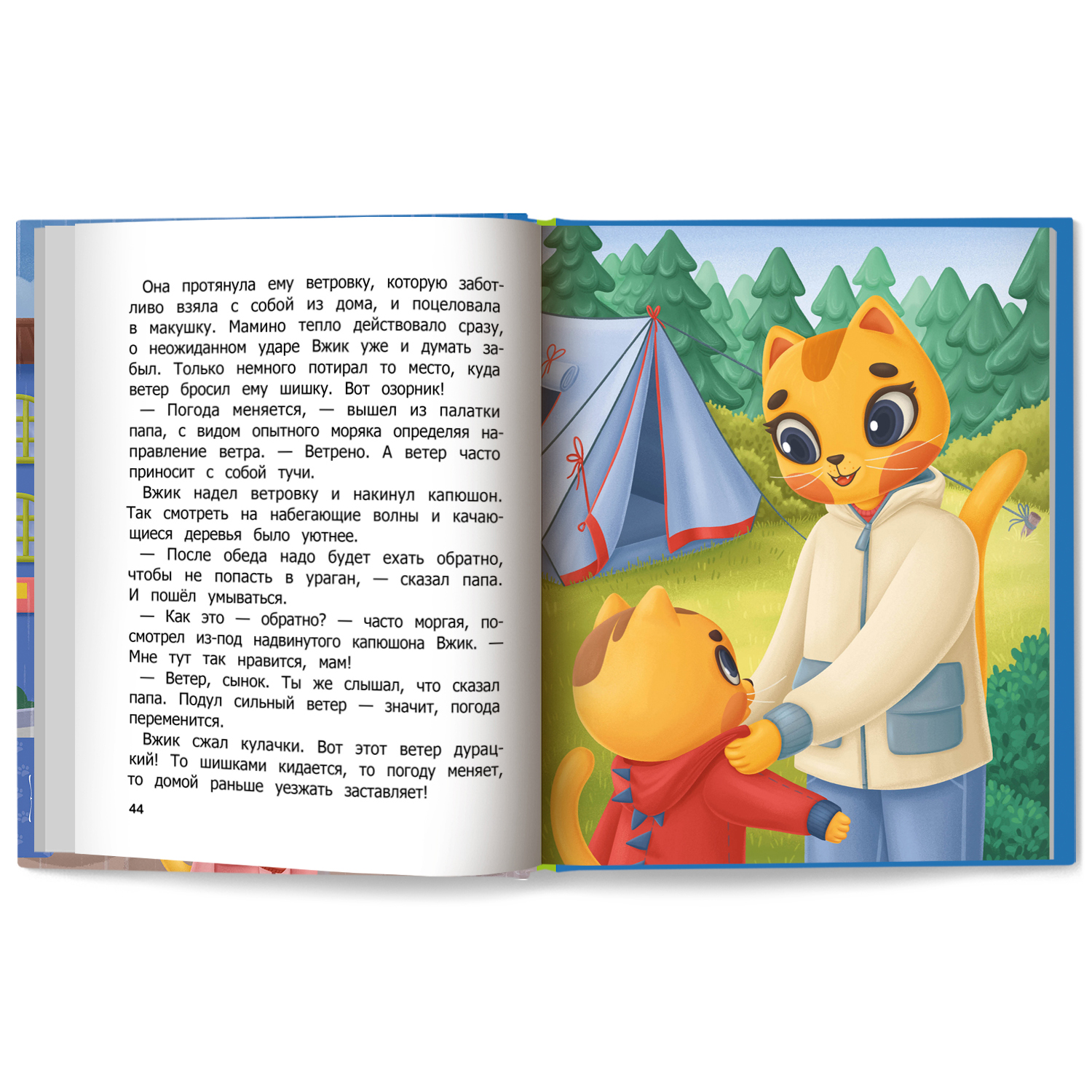 Книга Феникс Премьер Как Вжик разную погоду полюбил - фото 11