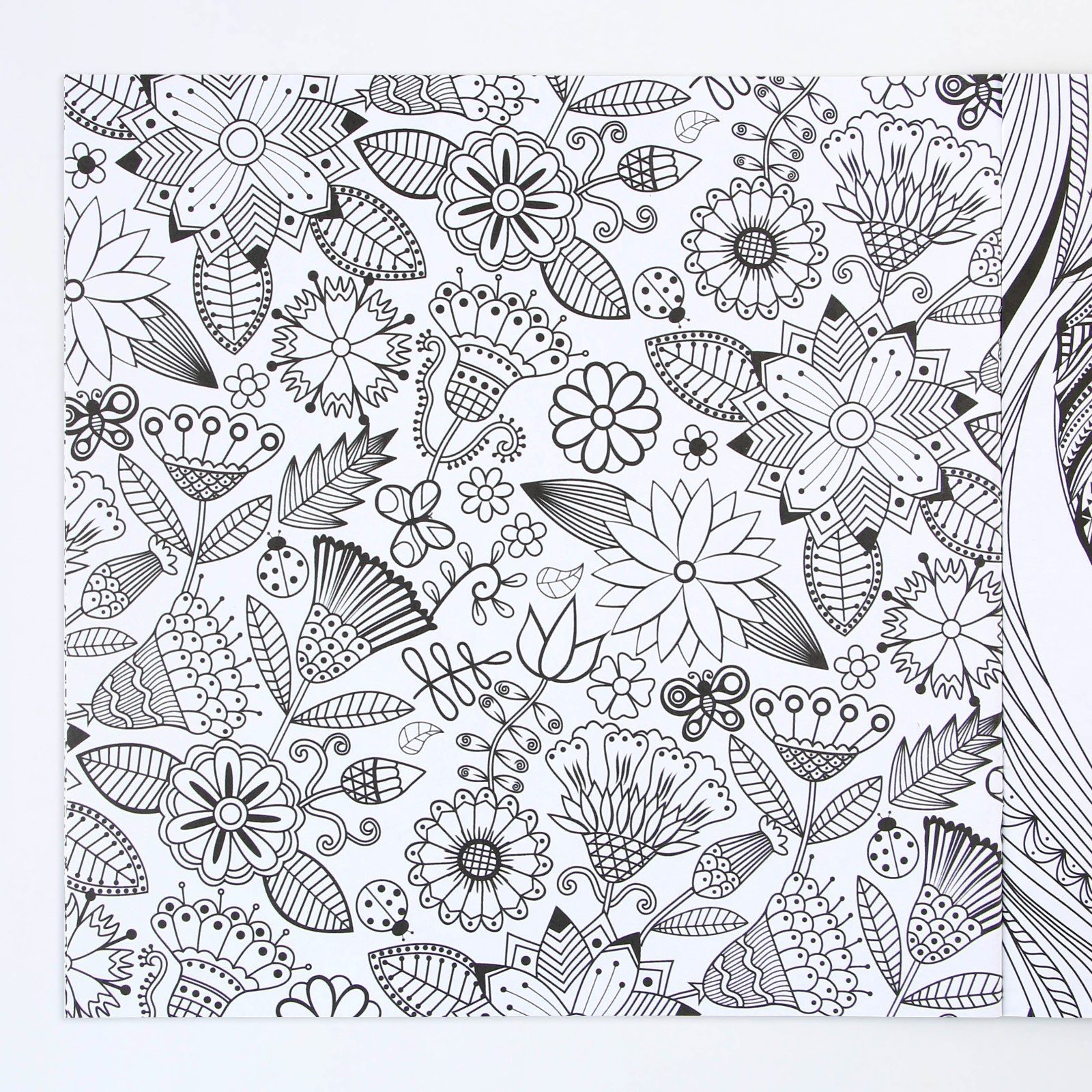 Альбом Школа Талантов для вдохновения Волшебные узоры 20 стр - фото 13