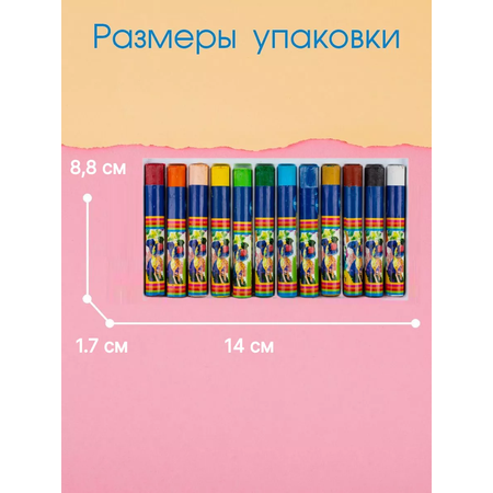 Пастель художественная сухая CENTRUM 12 шт.