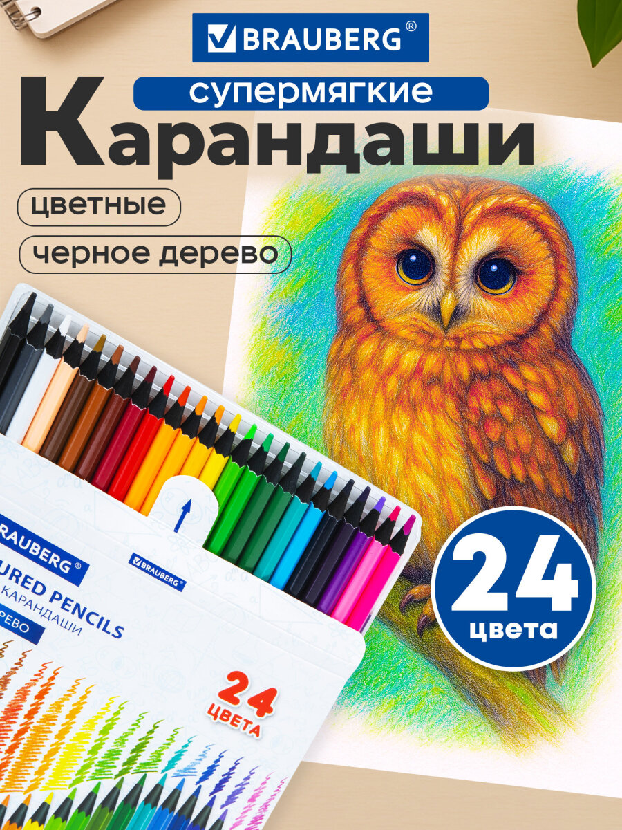 Карандаши цветные Brauberg 24 шт. - фото 1