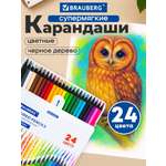 Карандаши цветные Brauberg 24 шт.