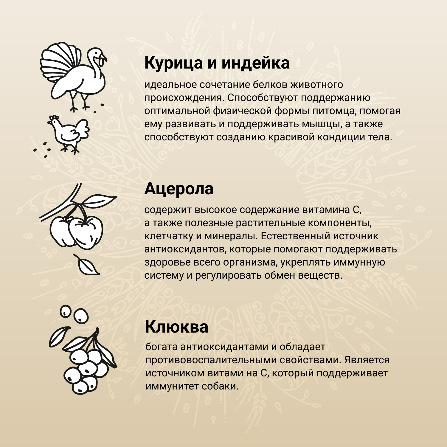 Корм для щенков, беременных и кормящих собак Craftia Natura 2кг миниатюрных и мелких пород из курицы и индейки сухой - фото 4