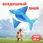 Воздушный змей Наша Игрушка для детей большой 130х145 см