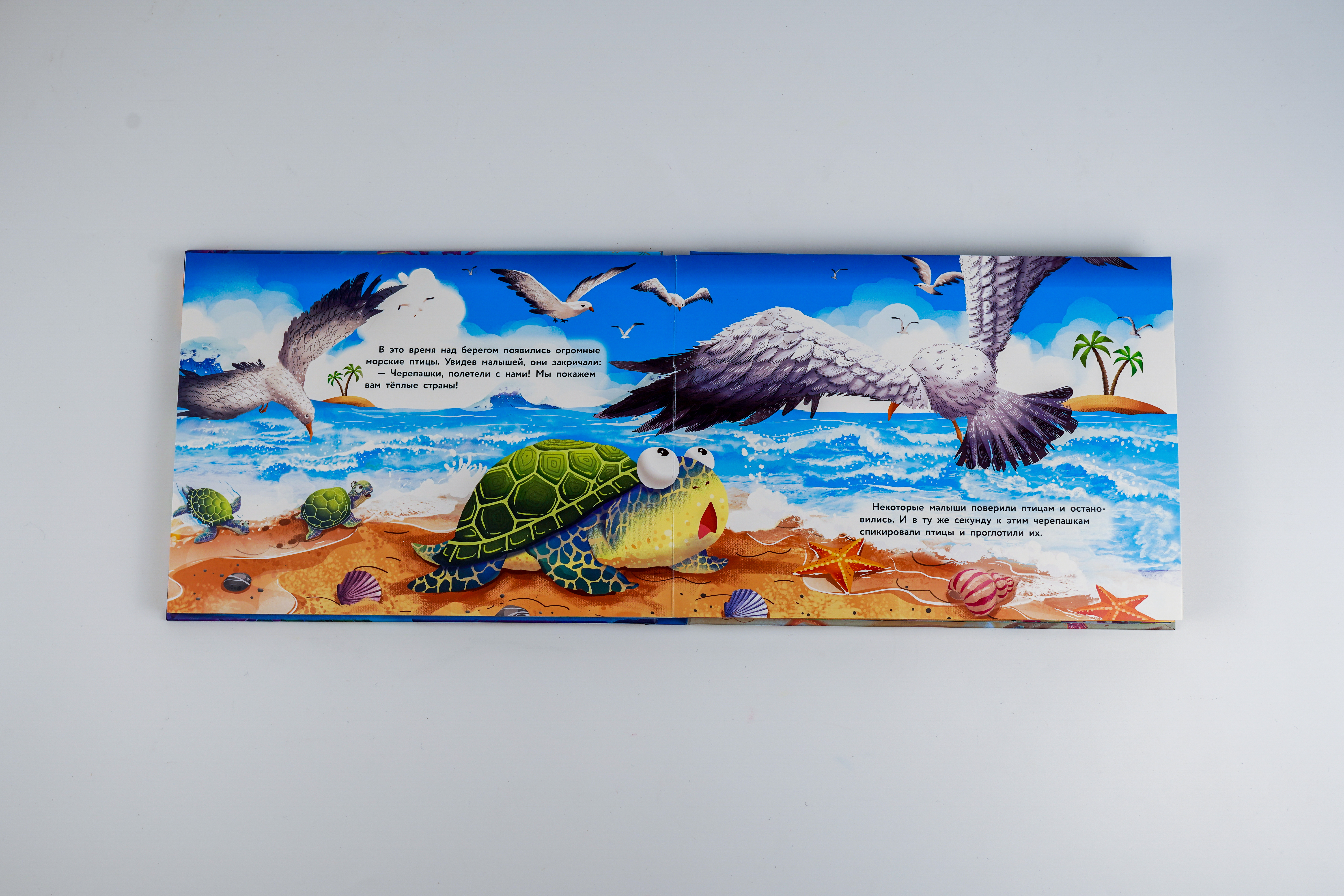 Книга АСТ Отважные черепашки - фото 6