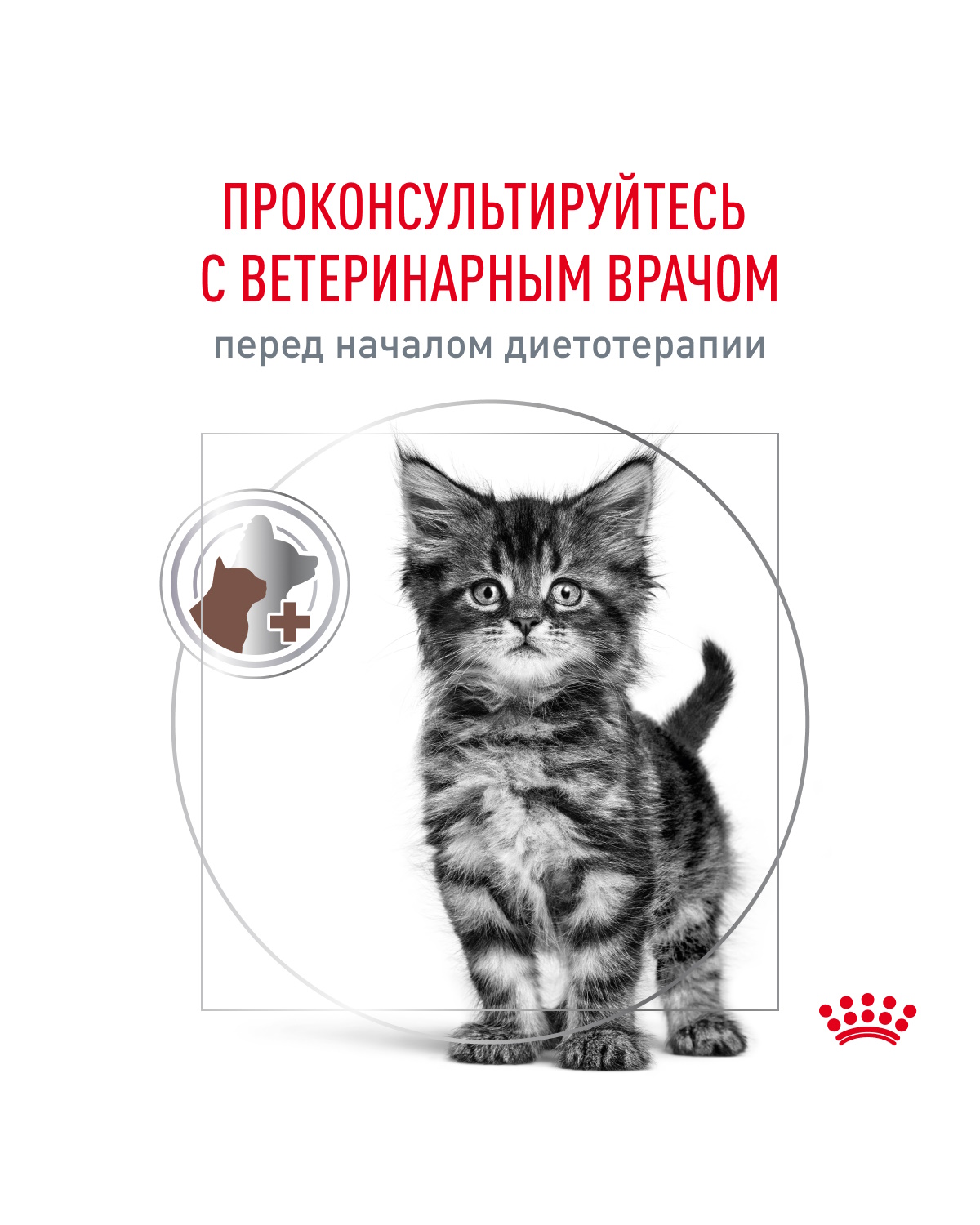 Корм для котят ROYAL CANIN Gastrointestinal kitten при нарушениях пищеварения 350г - фото 8
