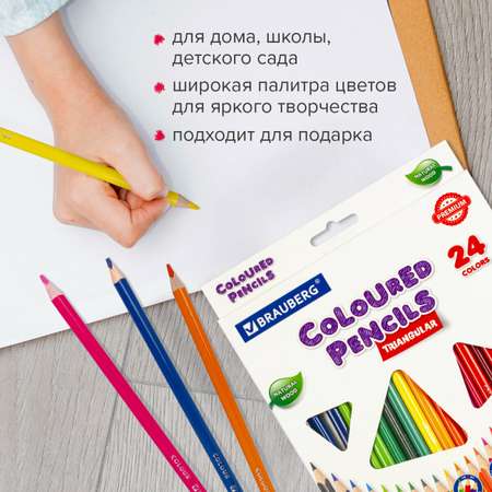 Карандаши цветные Brauberg 24 шт.