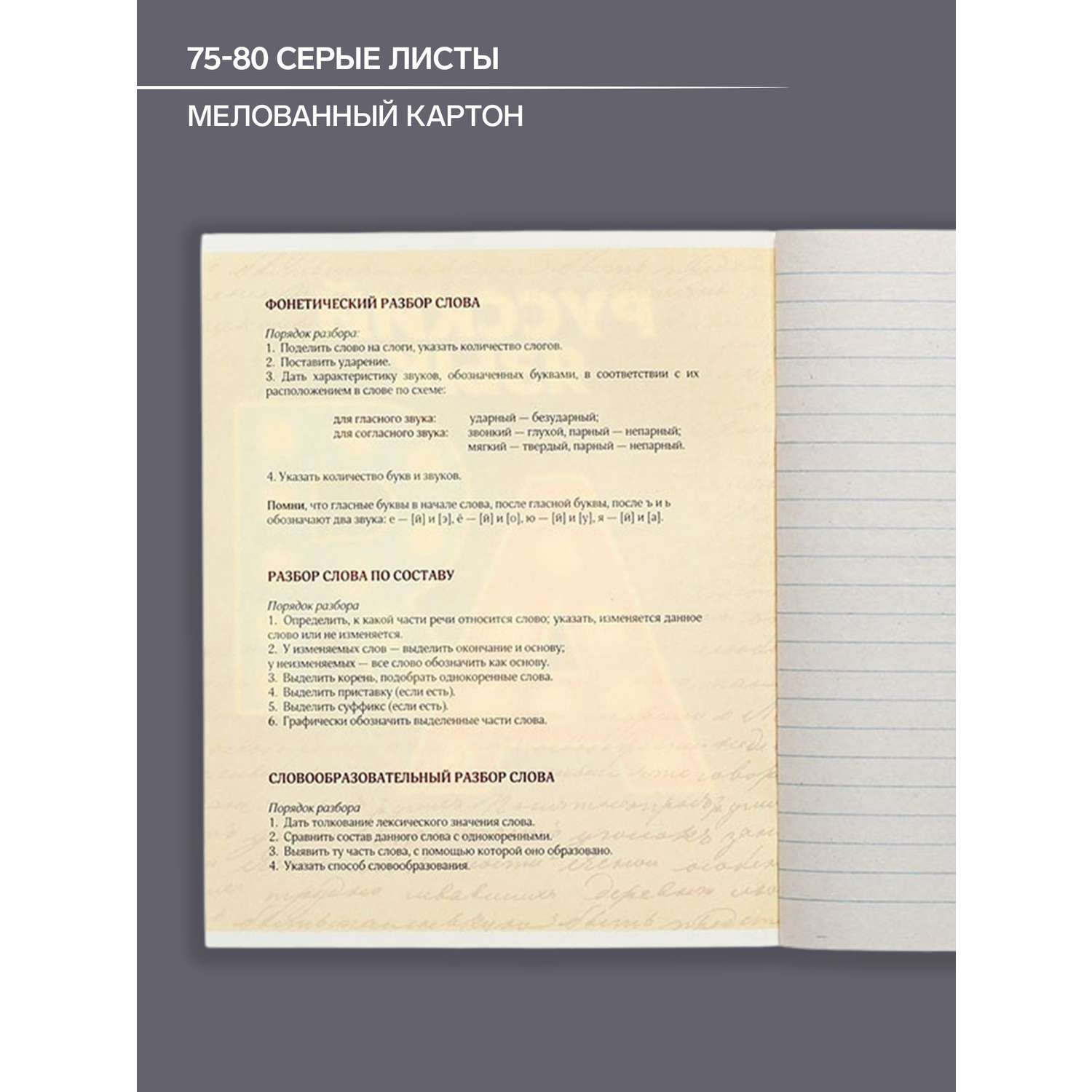 Тетрадь предметная Русский язык 3D 48л линейка 5927006 - фото 2