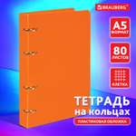 Тетрадь со сменным блоком Brauberg клетка 80 лист.