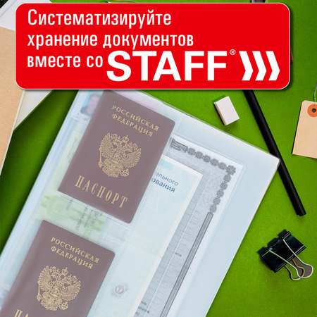 Органайзер настольный Staff