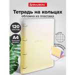 Тетрадь со сменным блоком Brauberg клетка 120 лист.