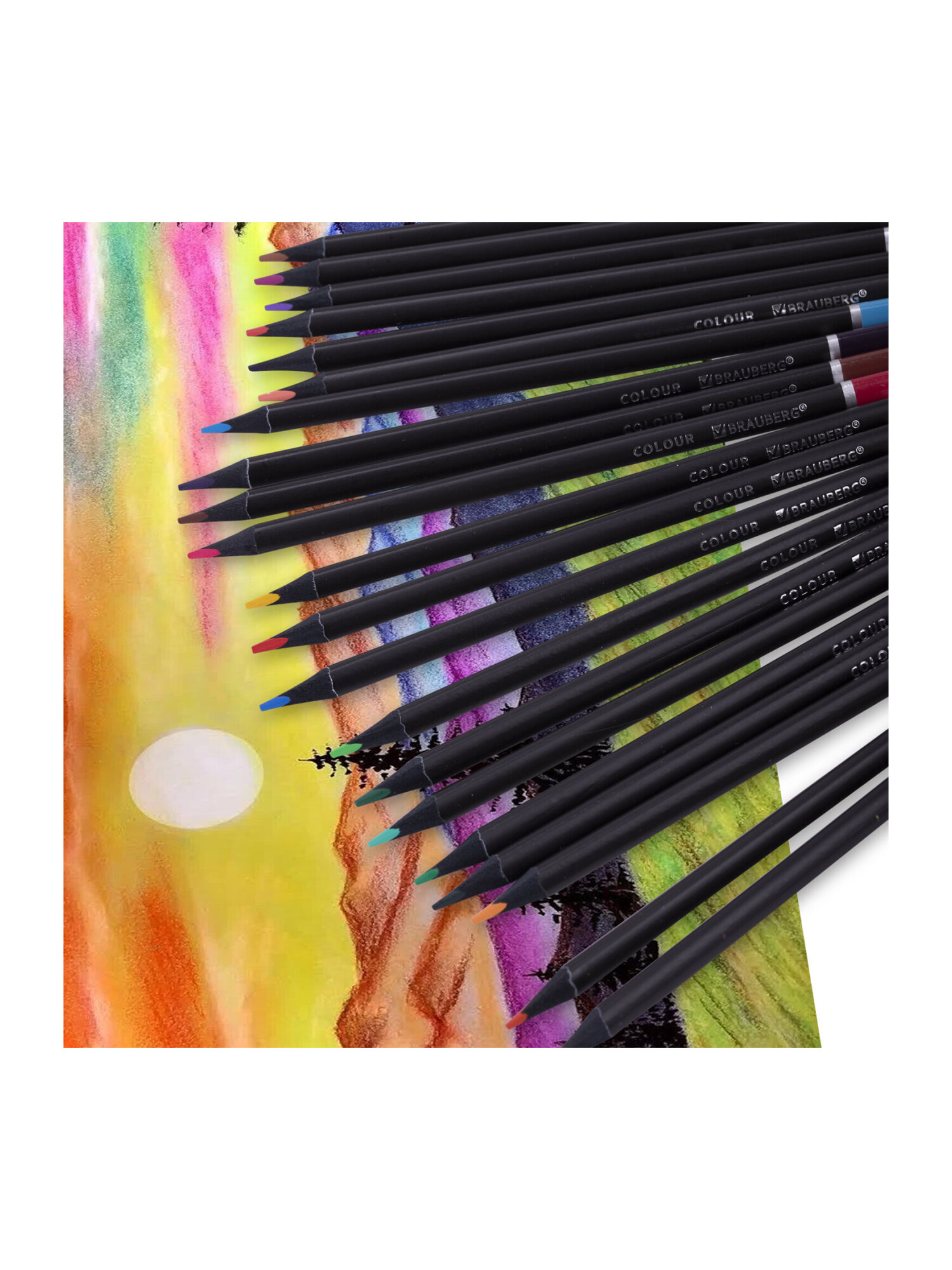 Карандаши цветные Brauberg 24 шт. - фото 10