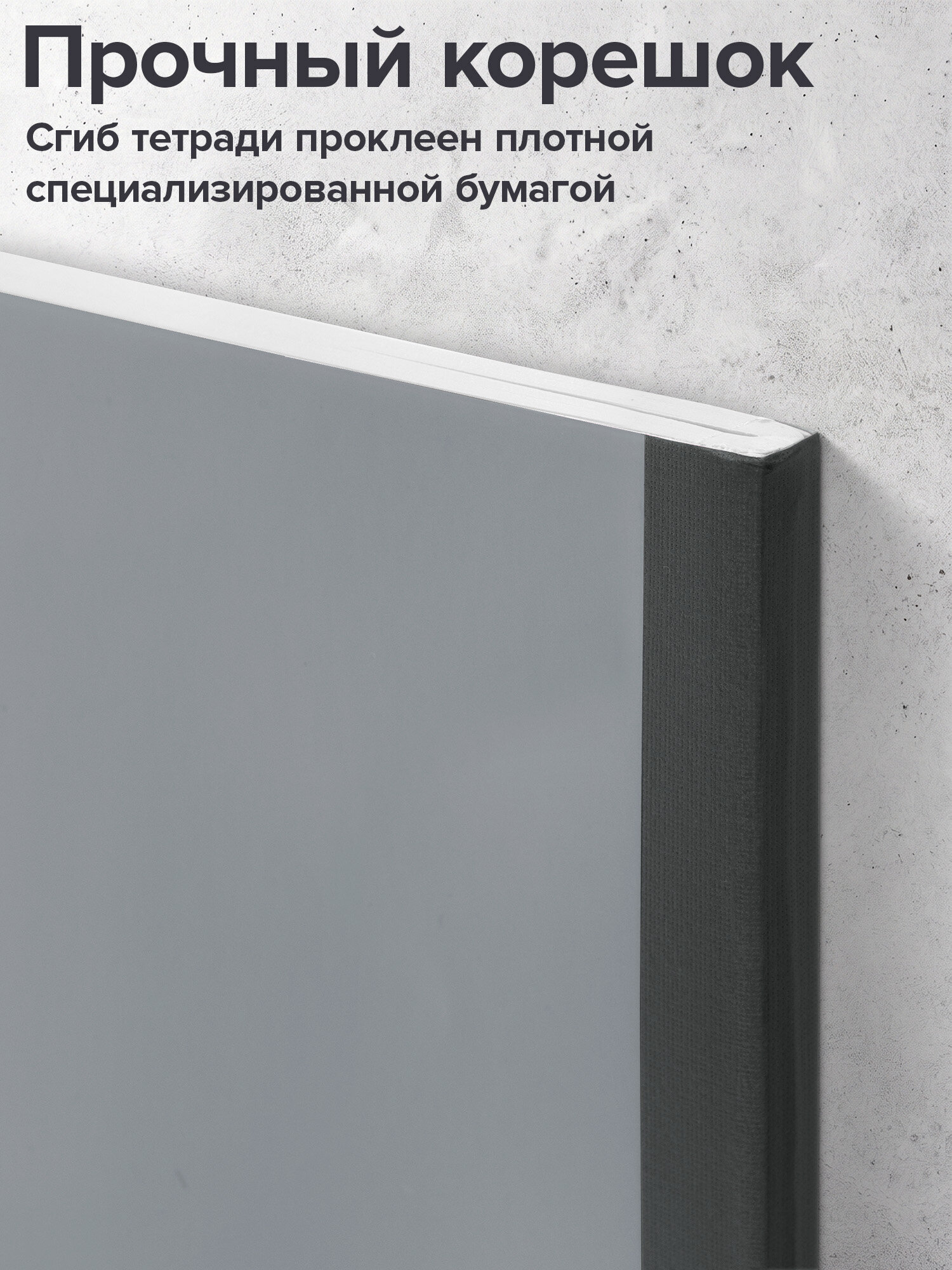 Тетрадь Brauberg клетка 96 лист. 2 шт. - фото 4