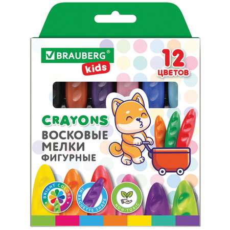 Brauberg