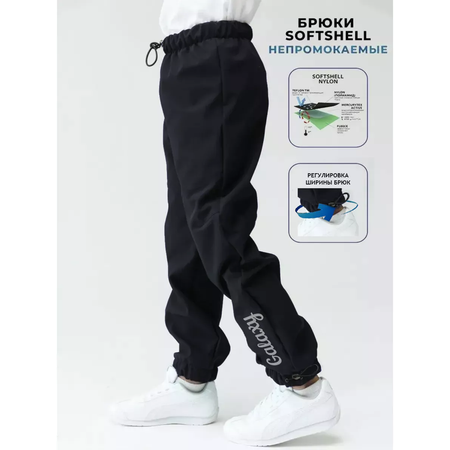 Брюки Lemonwear