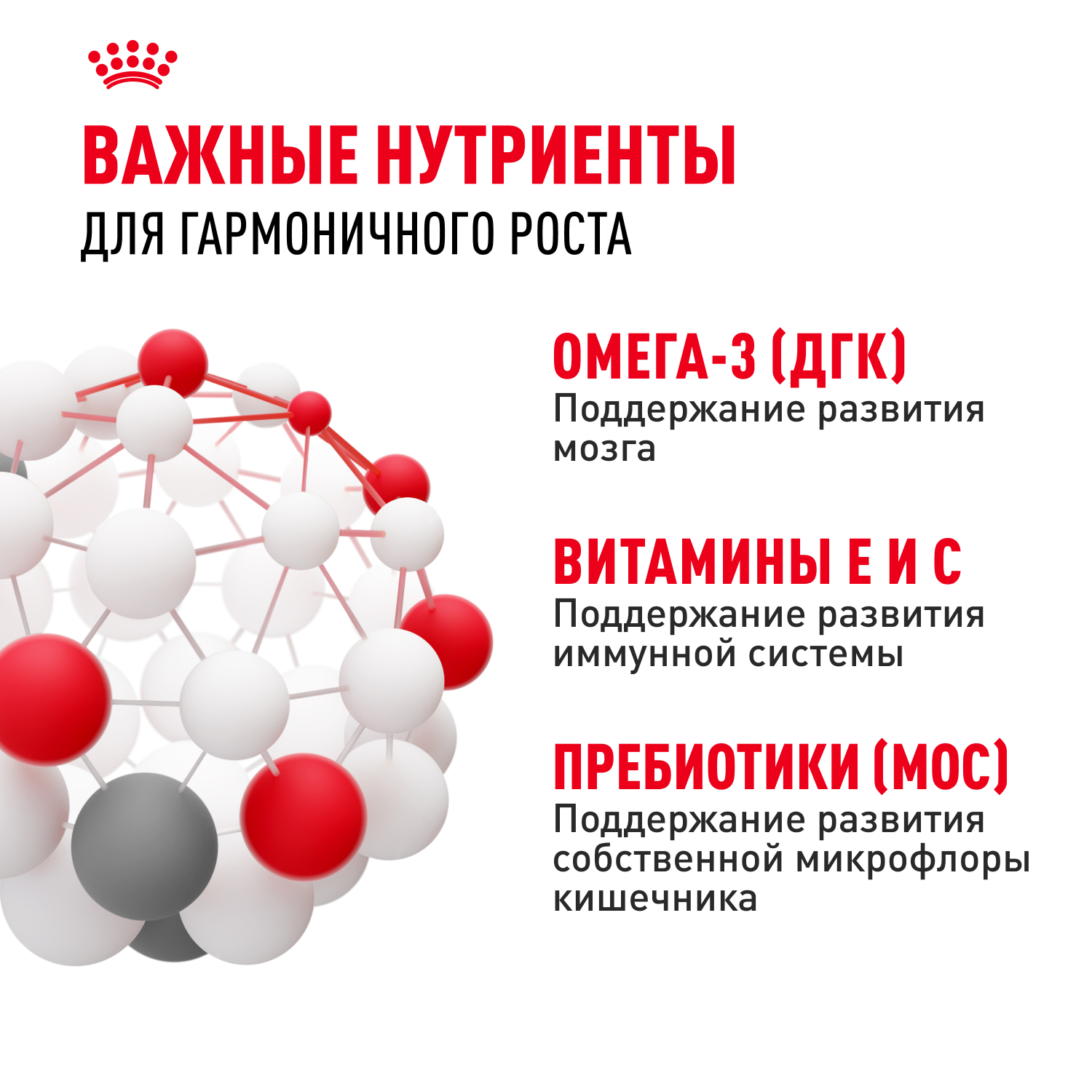 Корм для щенков влажный ROYAL CANIN Medium Puppy средних пород в возрасте до 12 месяцев соус 100 г - фото 5