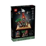 Конструктор LEGO Ideas 21355 879 дет.