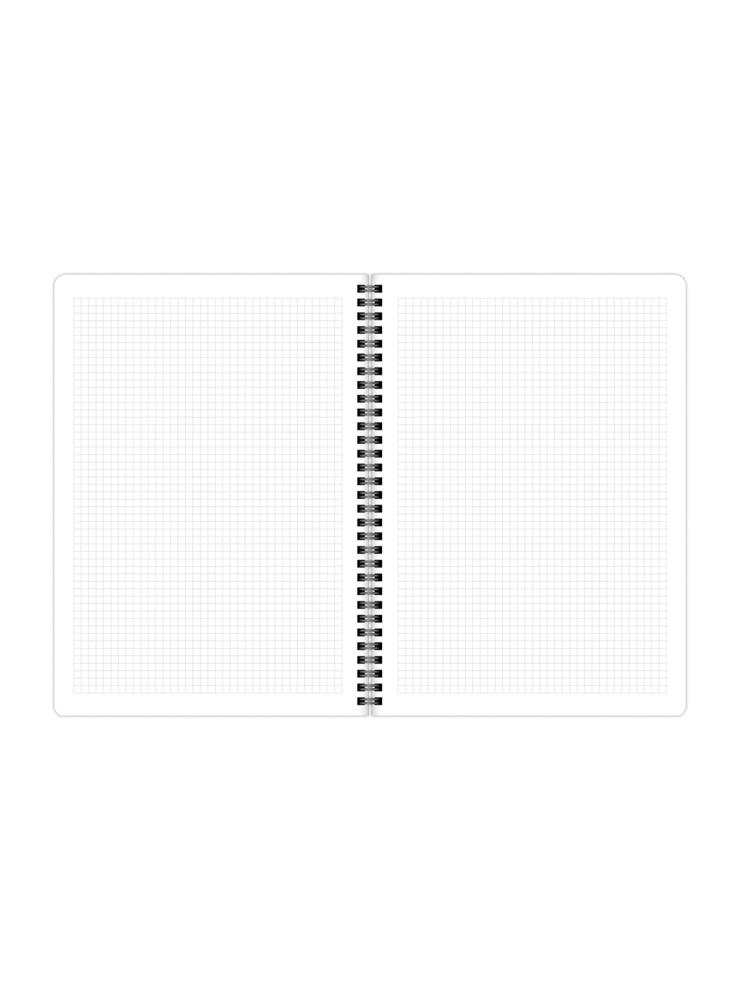 Общая тетрадь Brauberg клетка 96 лист. 2 шт. - фото 9