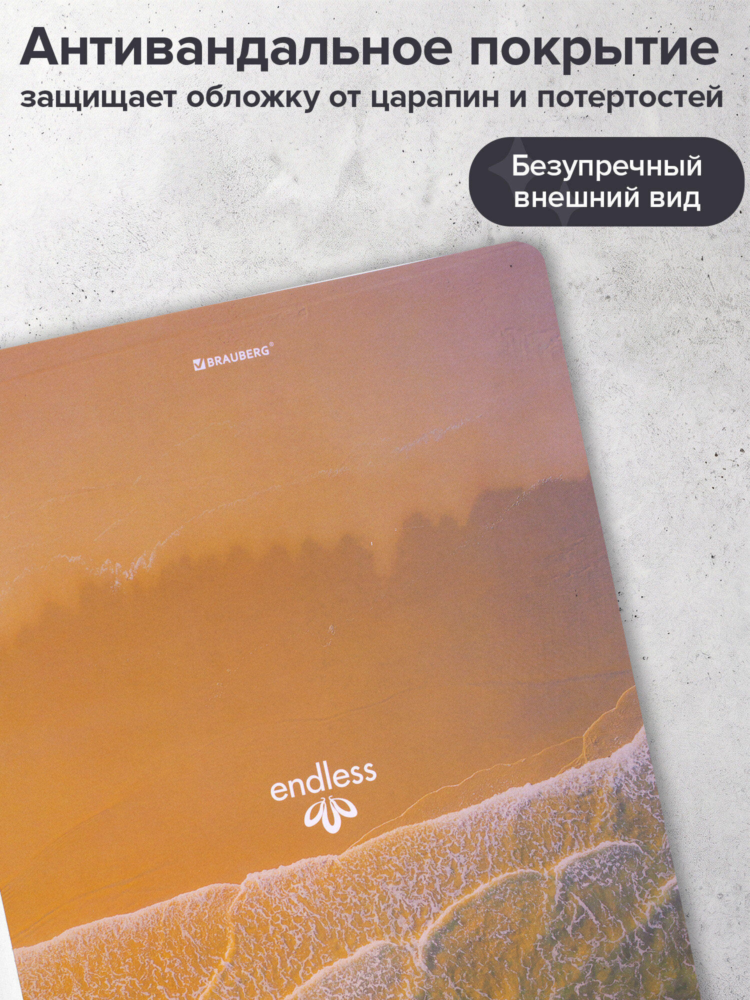 Тетрадь Brauberg клетка 96 лист. 2 шт. - фото 5