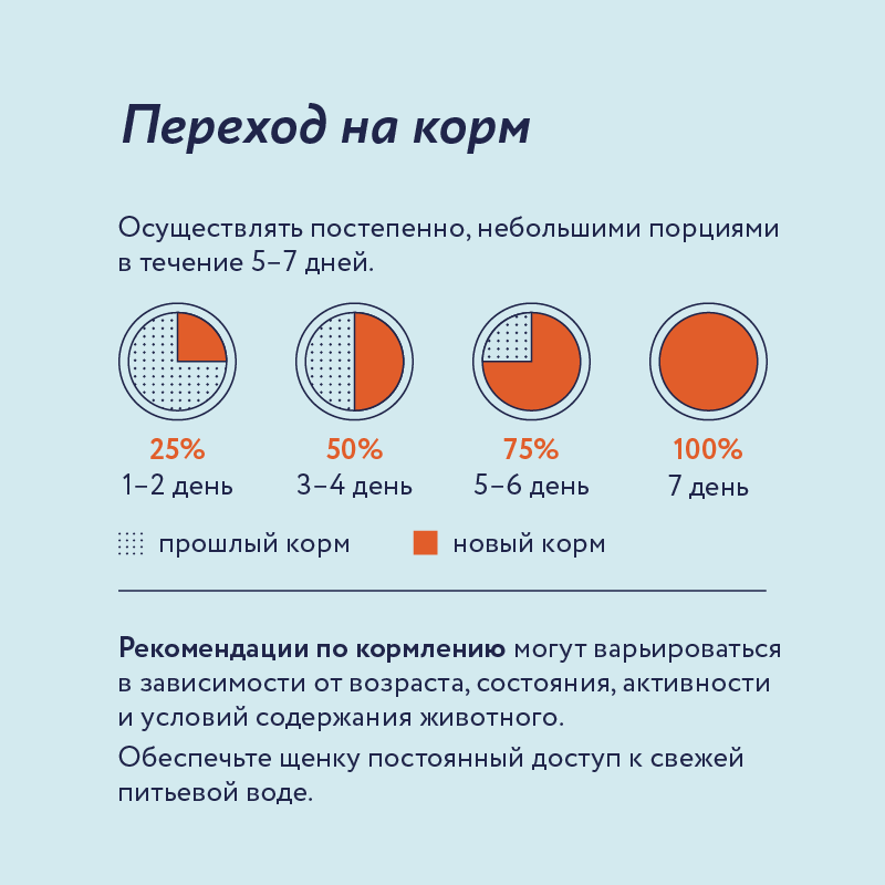 Консервы для щенков Florida Индейка с клюквой 400г - фото 6