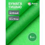 Бумага Astra Craft 50х70см 5 шт FT-43 зеленый