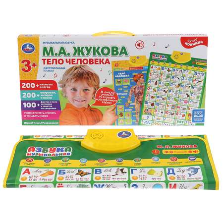 Обучающий плакат Умка Двусторонний Музыкальная азбука. Жукова тело человека