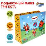 Пакет Играем вместе Три кота 312845