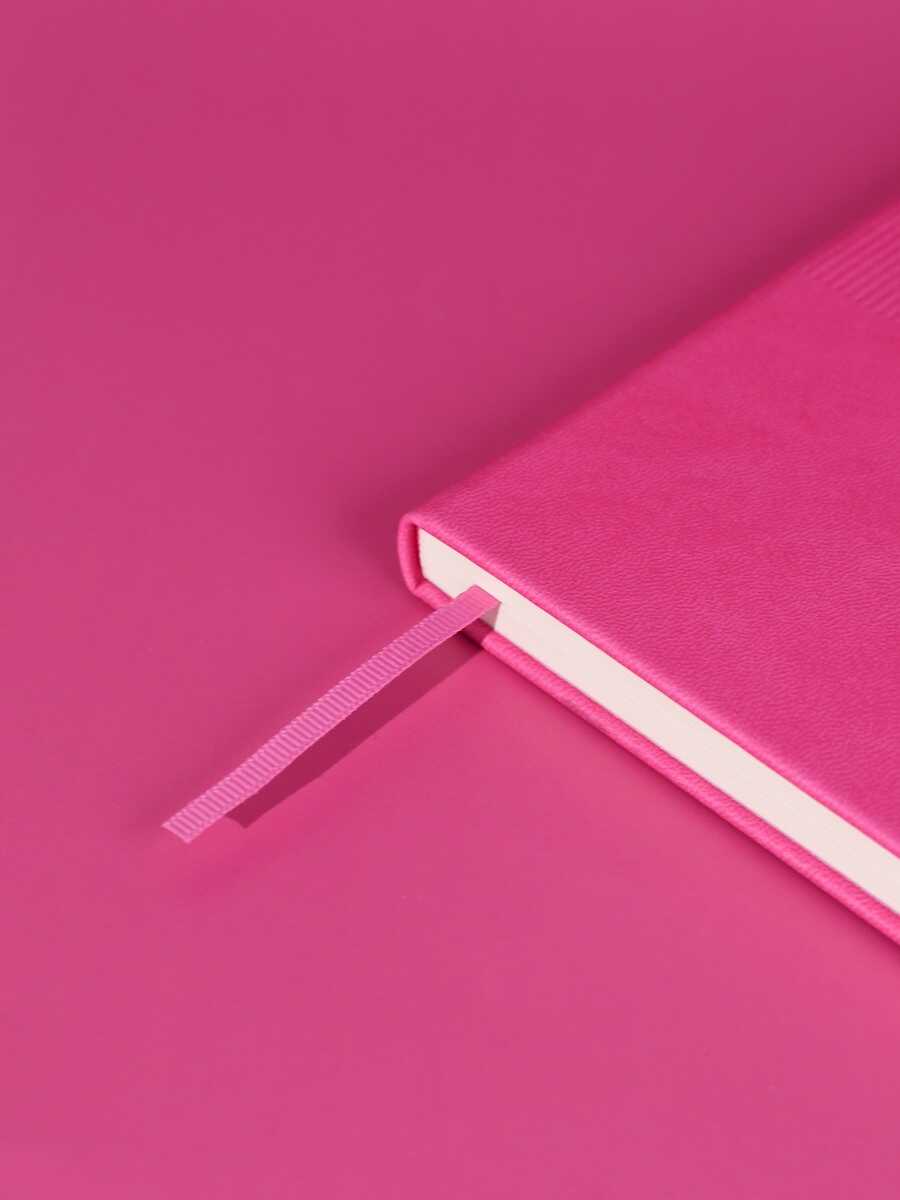 Ежедневник Феникс + ESCALADA 120 лист. - фото 8