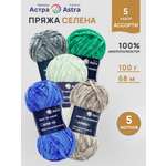 Пряжа для вязания Astra Premium 100г 68м 5шт