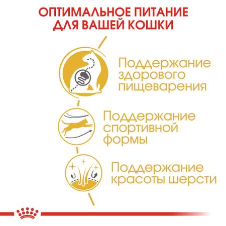 Корм сухой для кошек ROYAL CANIN 2кг Бенгальских