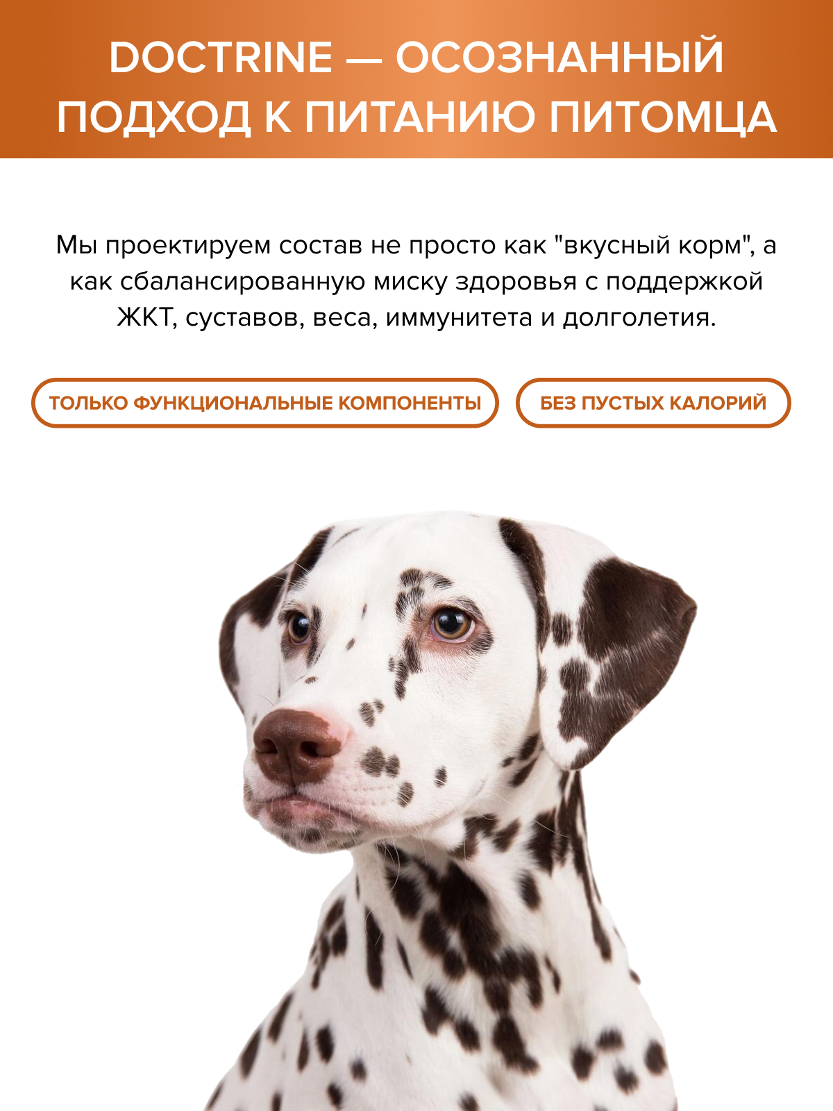 Корм для взрослых собак DOCTRINE сухой с индейкой и рисом 3 кг - фото 10