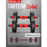 Набор блинов с грифом БлинДаГриф Гантель 4кг 2шт
