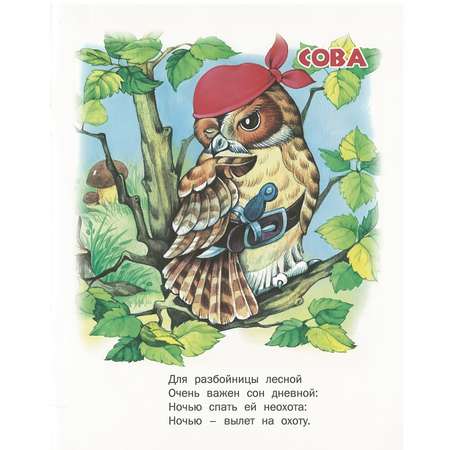 Книга Русич Загадки