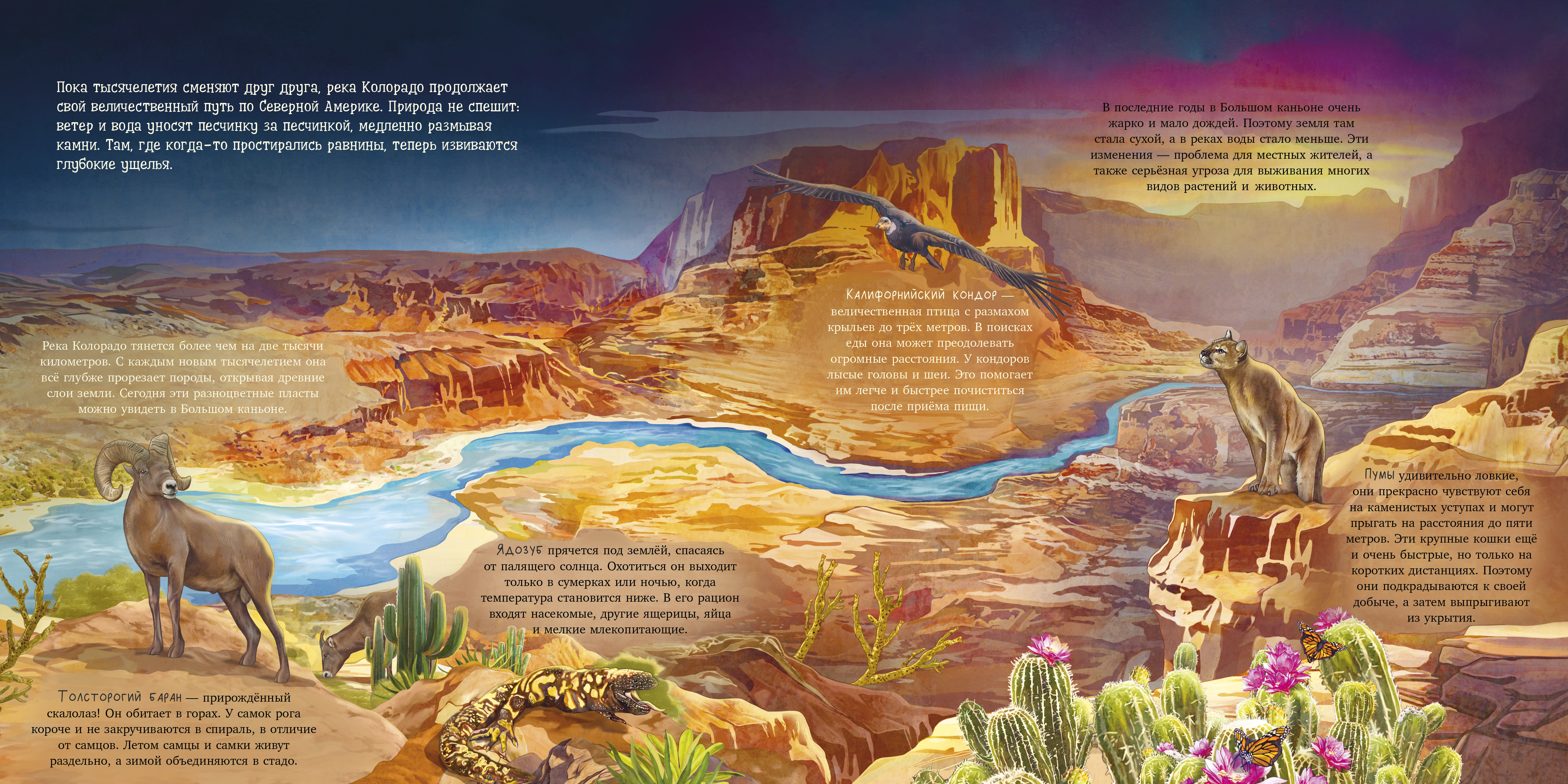 Книга Clever Удивительные животные - фото 4