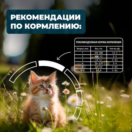 Корм для котят Родные корма По-ростовски курица-потрошки кусочки в соусе 85г