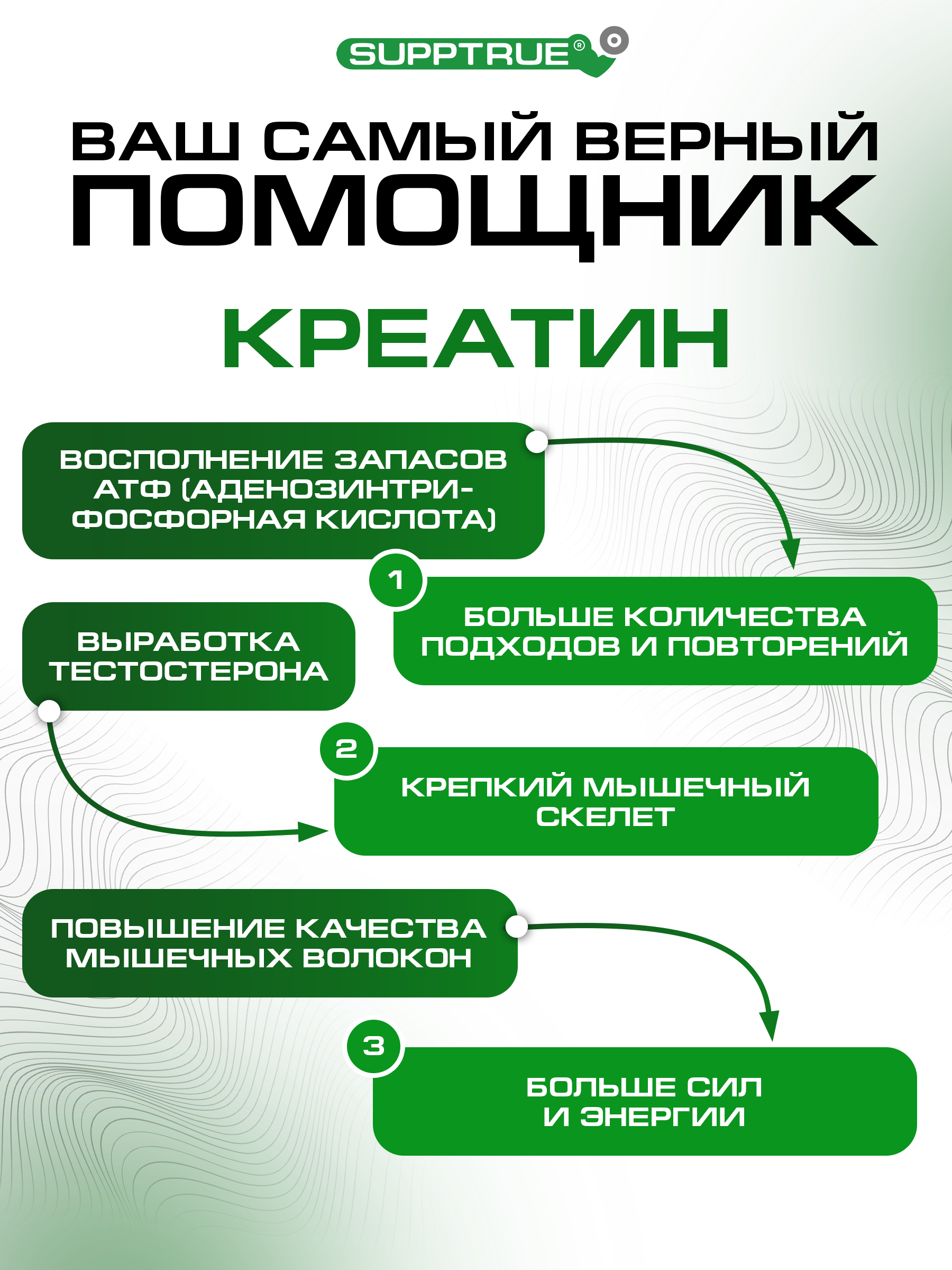 Креатин 250 г. SUPPTRUE MONOHYDRAT без вкуса - фото 2