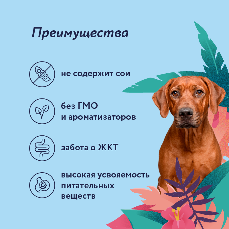 Корм для собак Florida 400г перепёлка-груша - фото 6