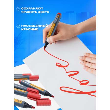 Маркеры WORKMATE 12 цв.