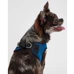 Шлейка-жилетка для собак Barbaks синяя сетка M 18*42-48см полиэстер