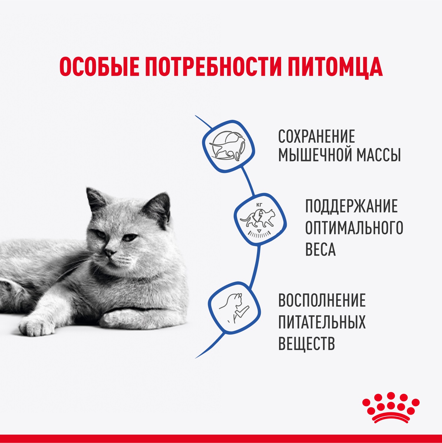Корм для кошек ROYAL CANIN 85г Light Weight Care соус для профилактики избыточного веса пауч - фото 3
