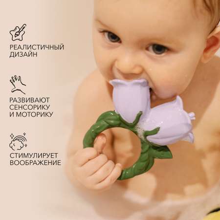 Прорезыватель OLI and CAROL