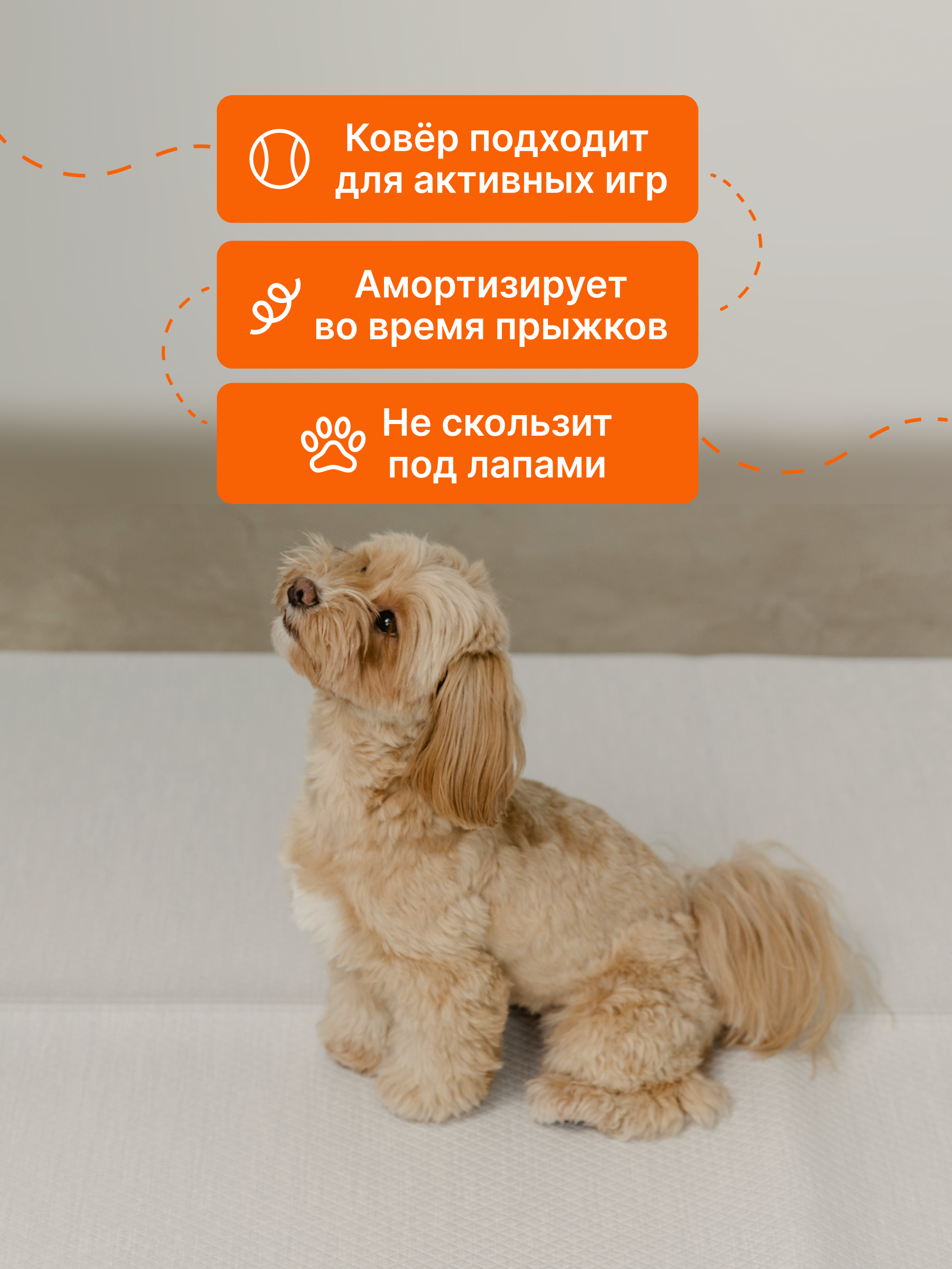 Моющийся ковер для собак в гостиную Dfang нескользящий Кремовый шик 180x140x0,4 - фото 3