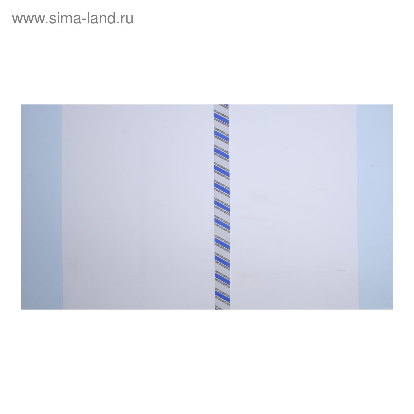 Обложка Calligrata - фото 4