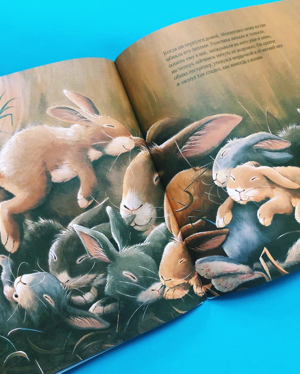 Книга Clever Издательство Зайчонок хочет домой - фото 5