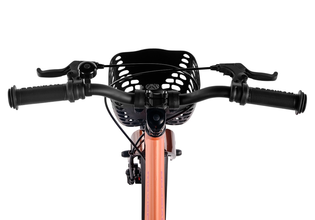 Двухколесный велосипед Maxiscoo 16 дюймов - фото 7