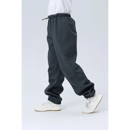 Брюки Lemonwear